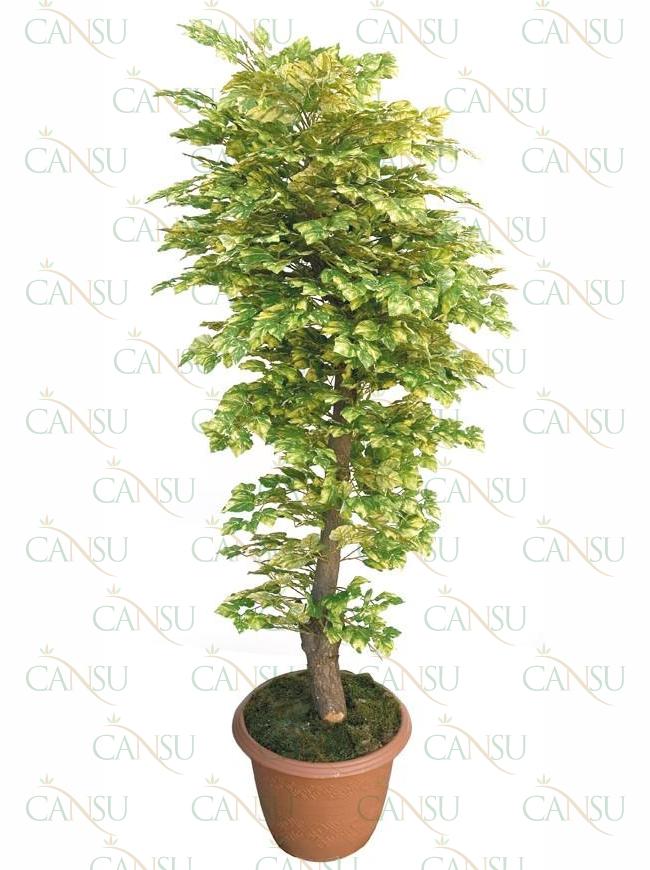 Yapraklı Ağaçlar, Model No: CT-04-535